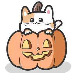 แม่ดรีมบอกโปร