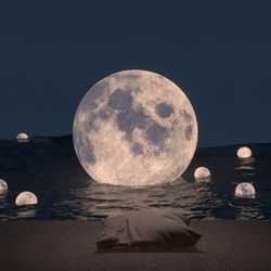 MOONMOON
