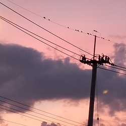 ที่ปรึกษา คอยรับฟังปัญหาต่างๆ