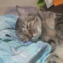 รับปรึกษาปัญหาชีวิต