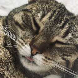 รับปรึกษาปัญหาชีวิต