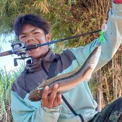 น้าโก๋ หมายข้างเธอ