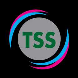 ตั๊งซุ่ยเซ้ง_TSS