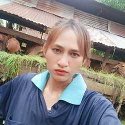 ปอนด์ ซิ่ง คนเฮ็ดใบงัว