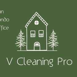 V Cleaning Pro