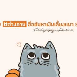 ช่างภาพชื่อต้นหาเงินเลี้ยงแมว