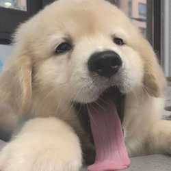 ขวันจัยมู๋