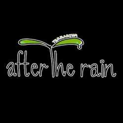 After the rain Terrarium
