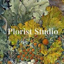 Plorist Studio