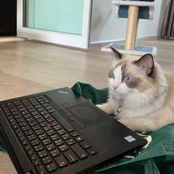 Electrical addict