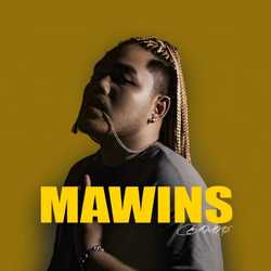 mawins24