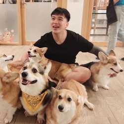 จักรพงศ์ บุญมาก