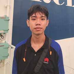 Palmy