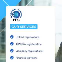 Power pacific corporation