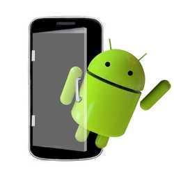 Mobile Application Service