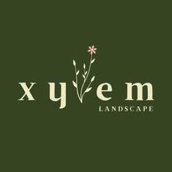 xylem landscape