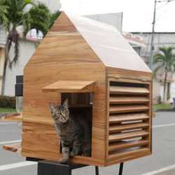Cat House