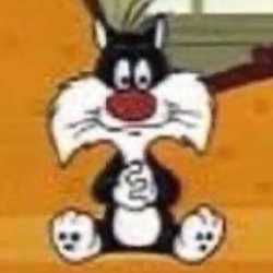 PP_PP