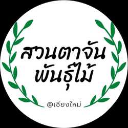 สวนตาจันพันธุ์ไม้ เชียงใหม่