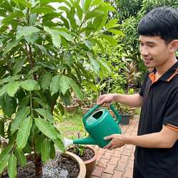 รดน้ำต้นไม้