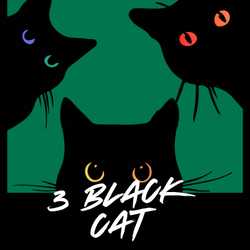 3 BlackCat 3D Resin Studio