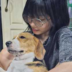 Data _ Survey Freelancer