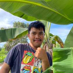 ไม่ใช่หมอดูแค่พูดความจริง