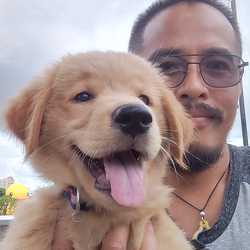 ช่างกรอบพระ