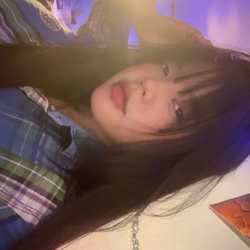 sunflower_1s