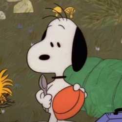 goofy
