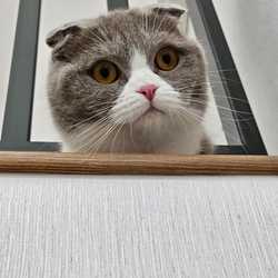 เฮียเหม่ง