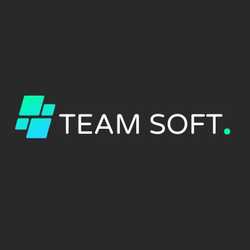 Team Soft101