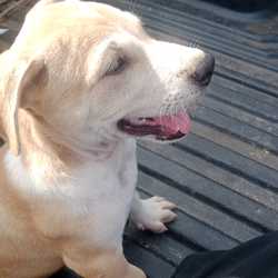 พงศกร พิมพ์แสนทวีสุข