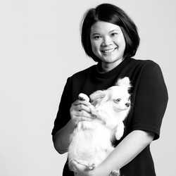 AnniLex Legal Services