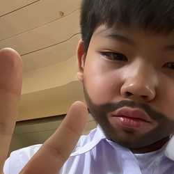 ฟรีแลนด์ตัวน้อย