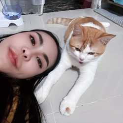Orachorn